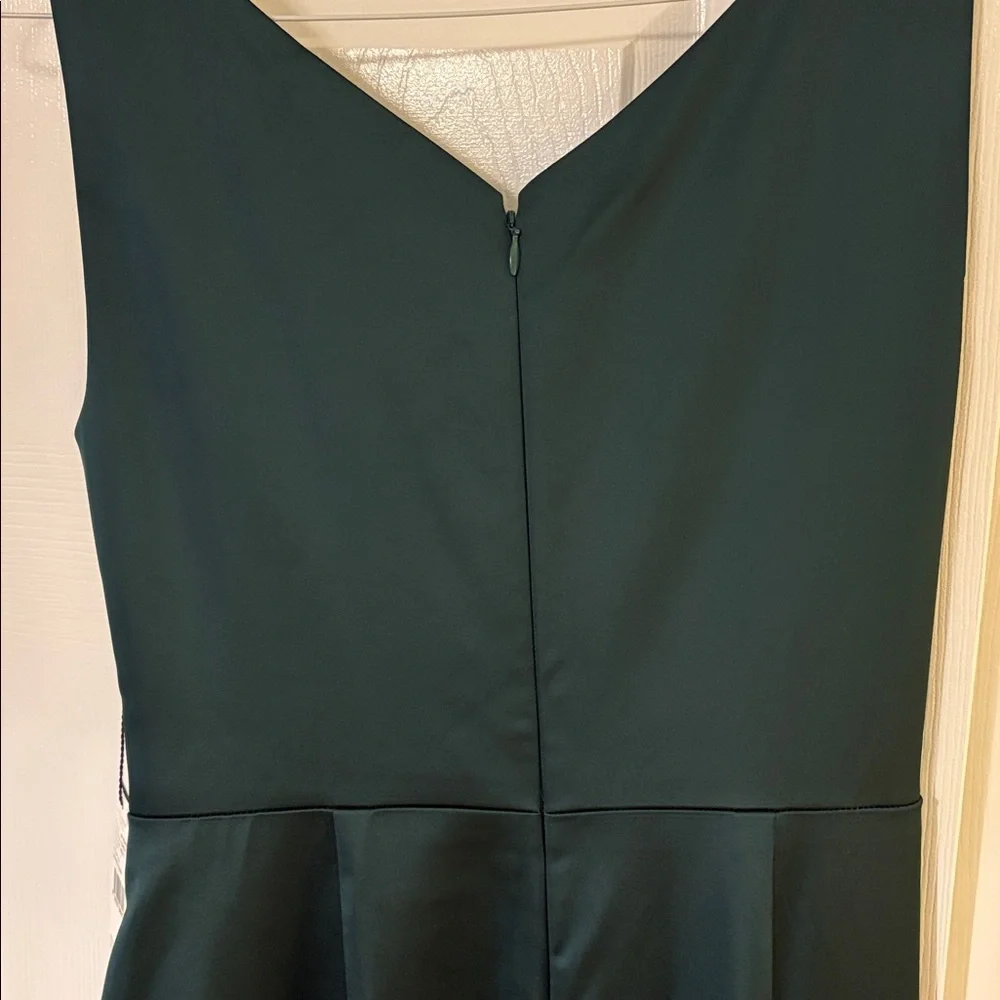 Adrianna Papell Gown - Picture 10 of 11
